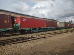 BRAD PCT-057271-3